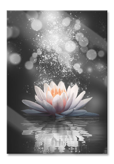 Magische Lotusblüte mit Glitzerstaub B&W Detail, Glasbild