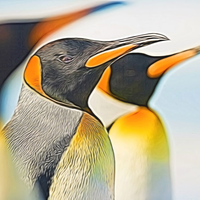 Majestätisch Kaiserpinguine, Glasbild Quadratisch