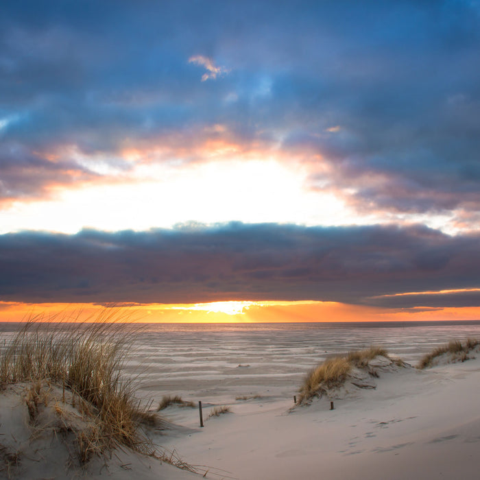 Sanddüne an der Nordsee, Glasbild Quadratisch