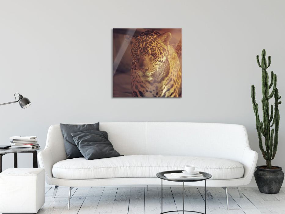 Anmutiger Leopard, Glasbild Quadratisch