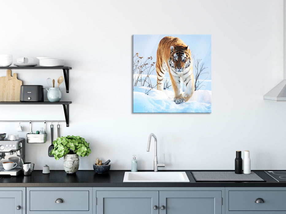 Stolzer Tiger im Schnee, Glasbild Quadratisch