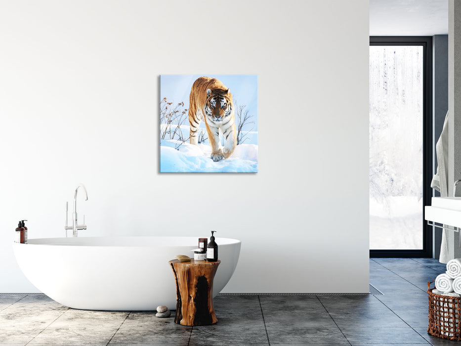 Stolzer Tiger im Schnee, Glasbild Quadratisch