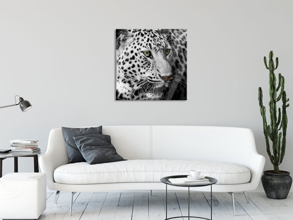 Stolzer Leopard, Glasbild Quadratisch