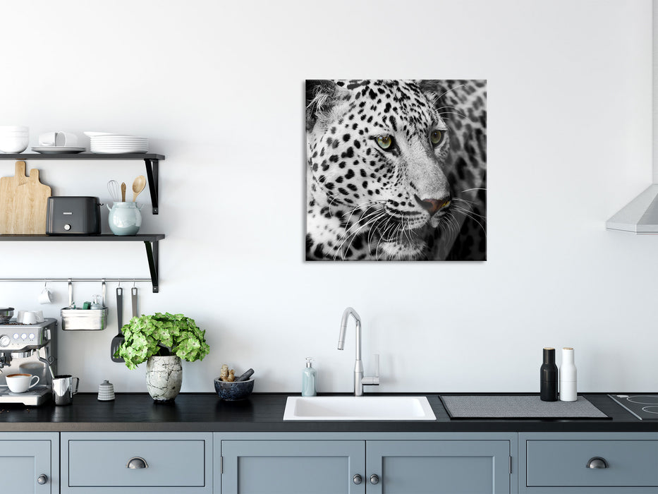 Stolzer Leopard, Glasbild Quadratisch