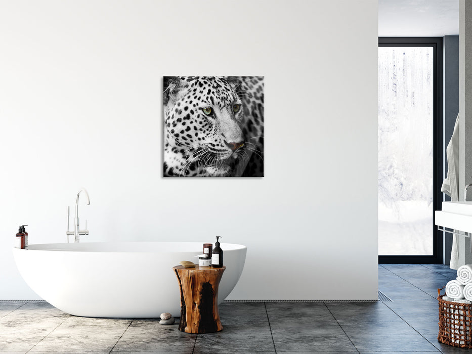 Stolzer Leopard, Glasbild Quadratisch