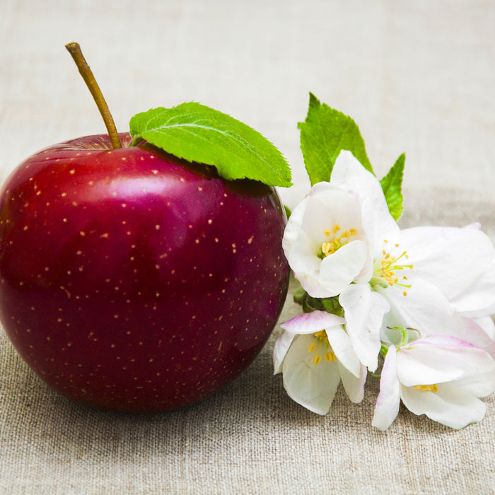 Knackiger roter Apfel, Glasbild Quadratisch