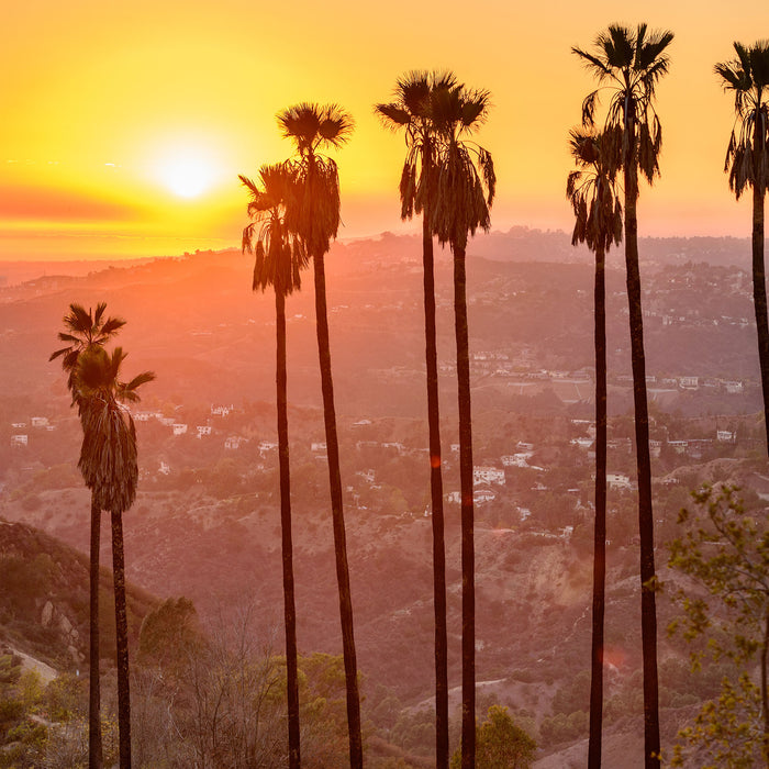 Blick auf Hollywood, Glasbild Quadratisch