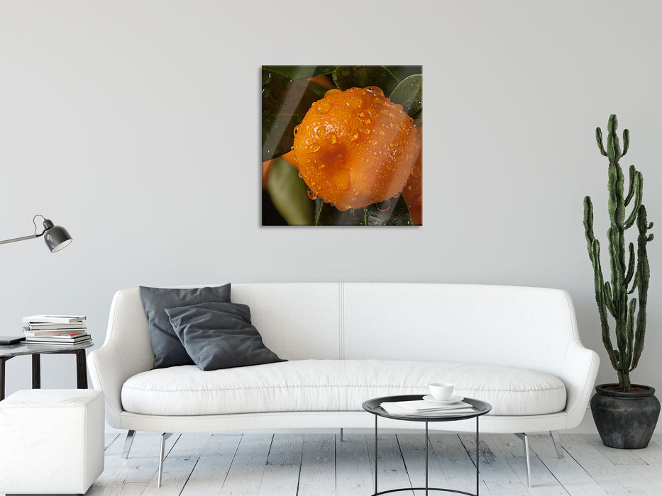 Saftige frische Orange, Glasbild Quadratisch