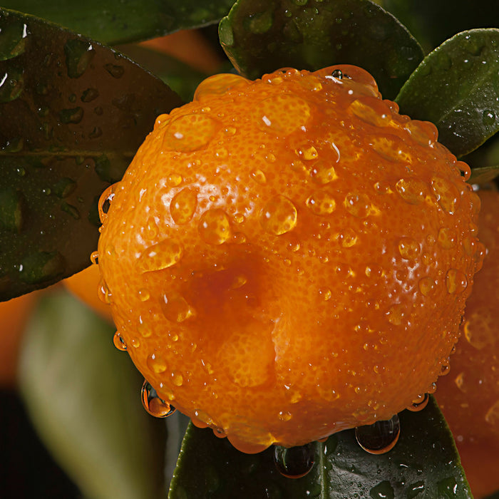 Saftige frische Orange, Glasbild Quadratisch