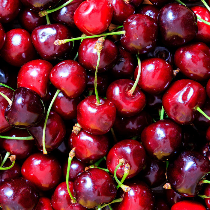 Leckere knackige Kirschen, Glasbild Quadratisch