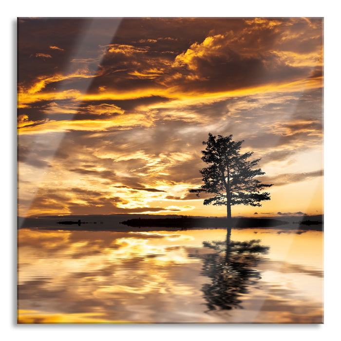 Einsamer Baum auf Insel, Glasbild Quadratisch
