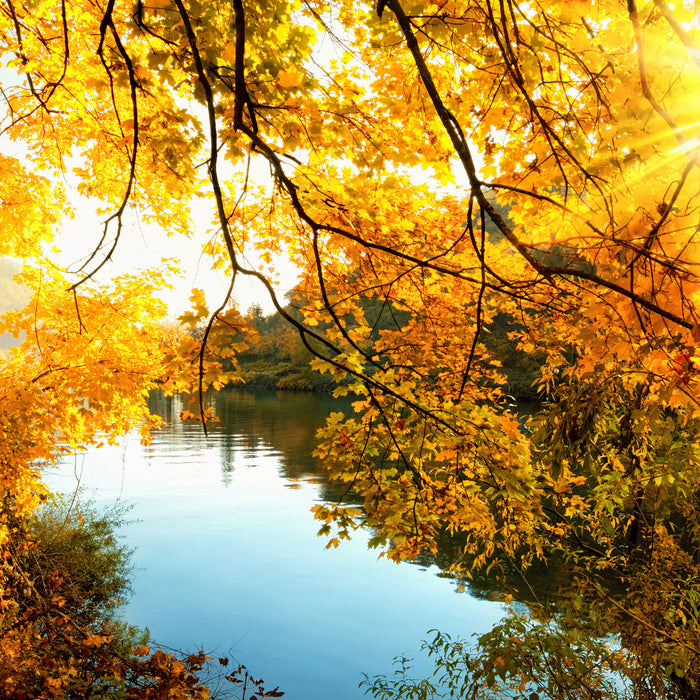 Landschaft mit See und Bäumen, Glasbild Quadratisch