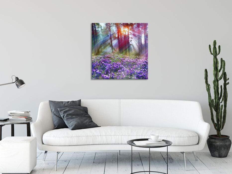 Krokusse im Wald, Glasbild Quadratisch