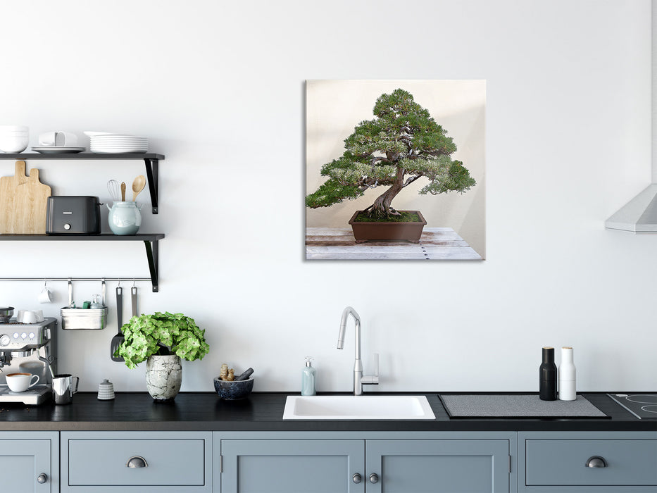 Bonsai Baum, Glasbild Quadratisch