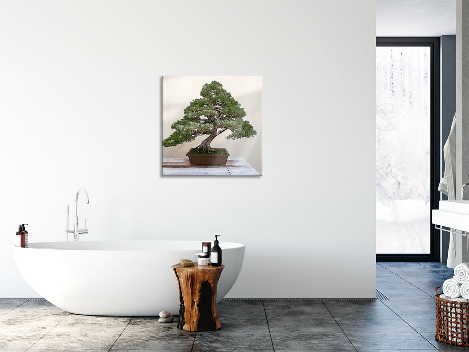 Bonsai Baum, Glasbild Quadratisch