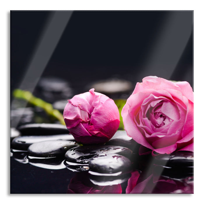 Pixxprint Rosa Rosenblüte Hintergrund, Glasbild Quadratisch