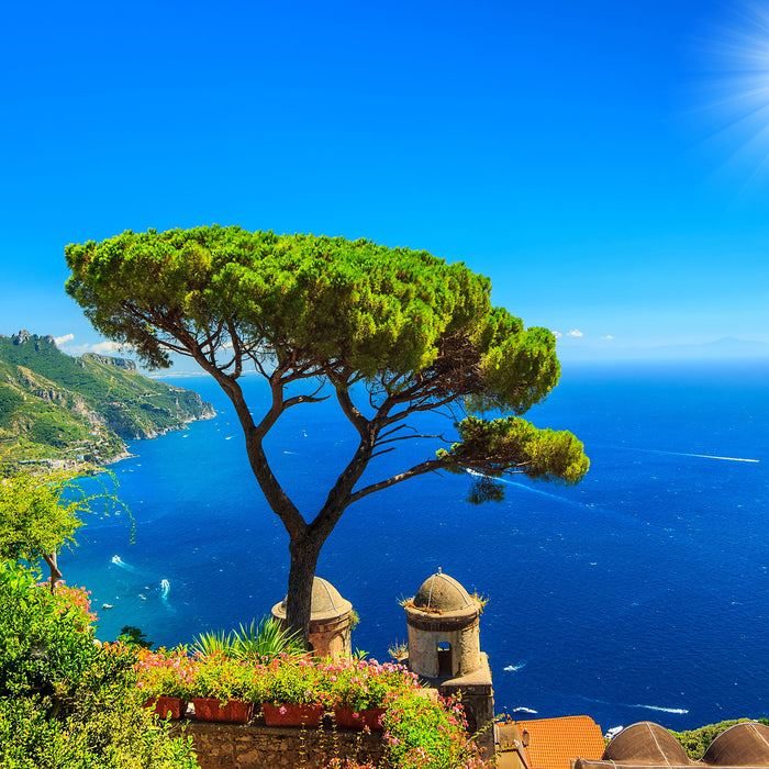 baum am blauen meer, Glasbild Quadratisch