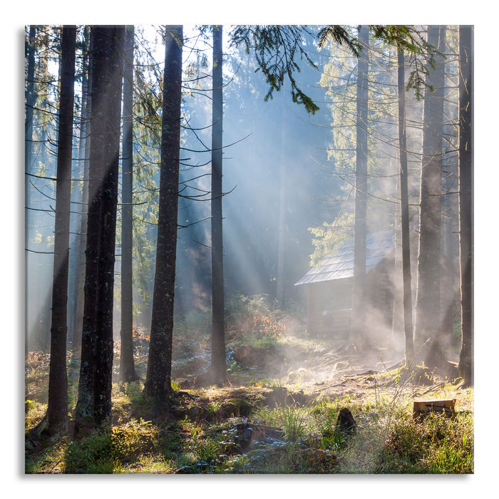 Sonnenstrahlen im Wald, Glasbild Quadratisch