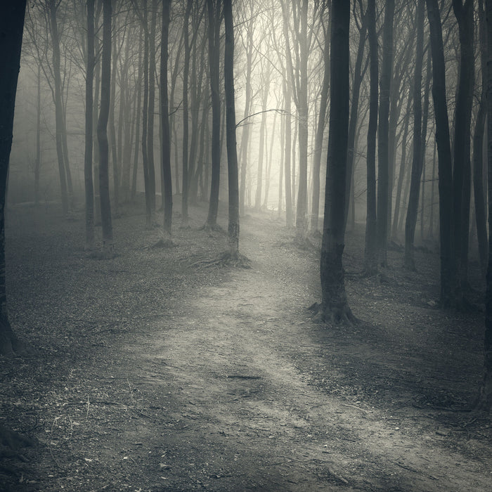 Düstere Landschaft schwarz weiß, Glasbild Quadratisch