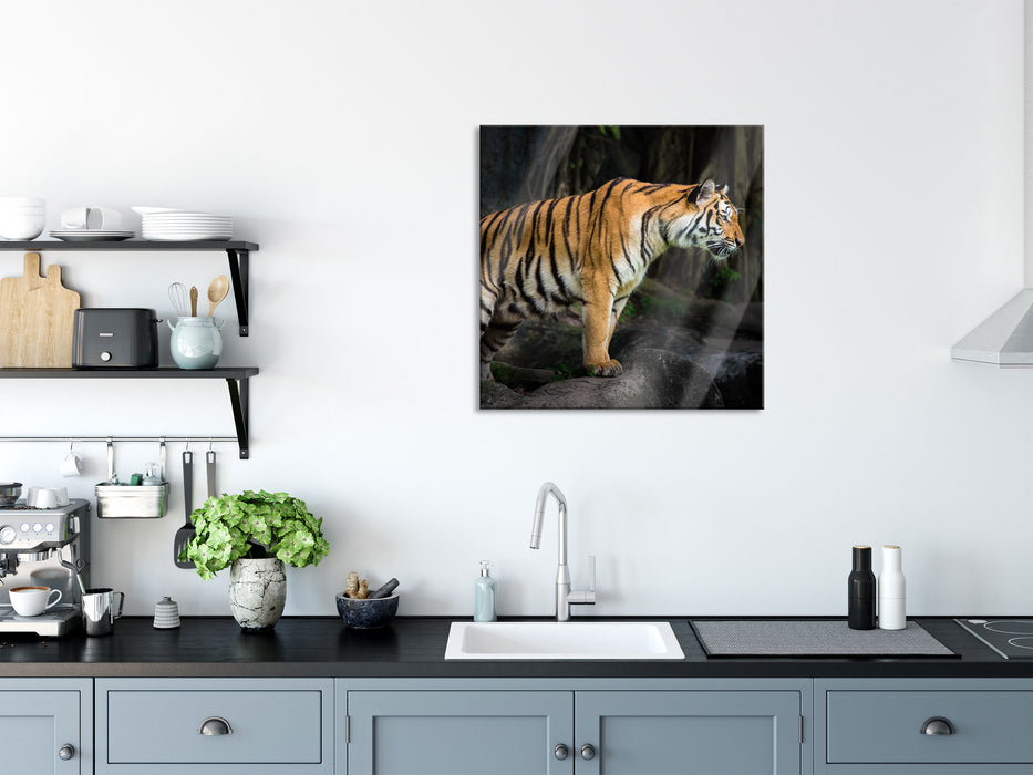 Tiger, Glasbild Quadratisch