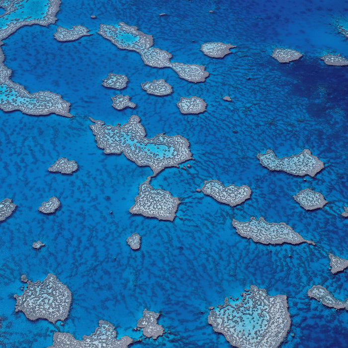 Korallenriffe Australien, Glasbild Quadratisch