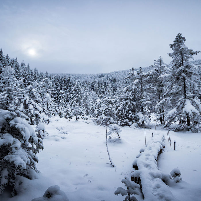 Winterlandschaft vereister See, Glasbild Quadratisch