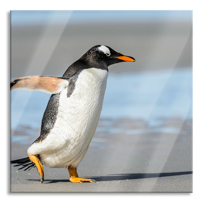 Pixxprint Pinguin am Strand, Glasbild Quadratisch