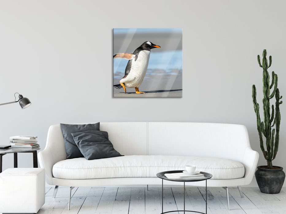 Pinguin am Strand, Glasbild Quadratisch