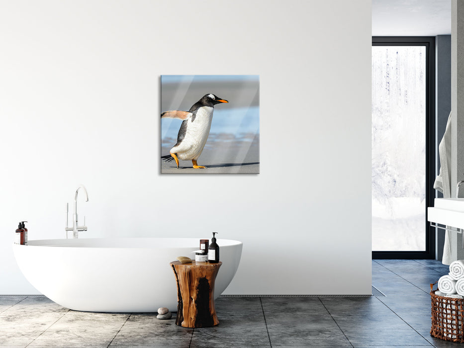 Pinguin am Strand, Glasbild Quadratisch