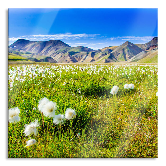 Pixxprint Alpenwiese, Glasbild Quadratisch