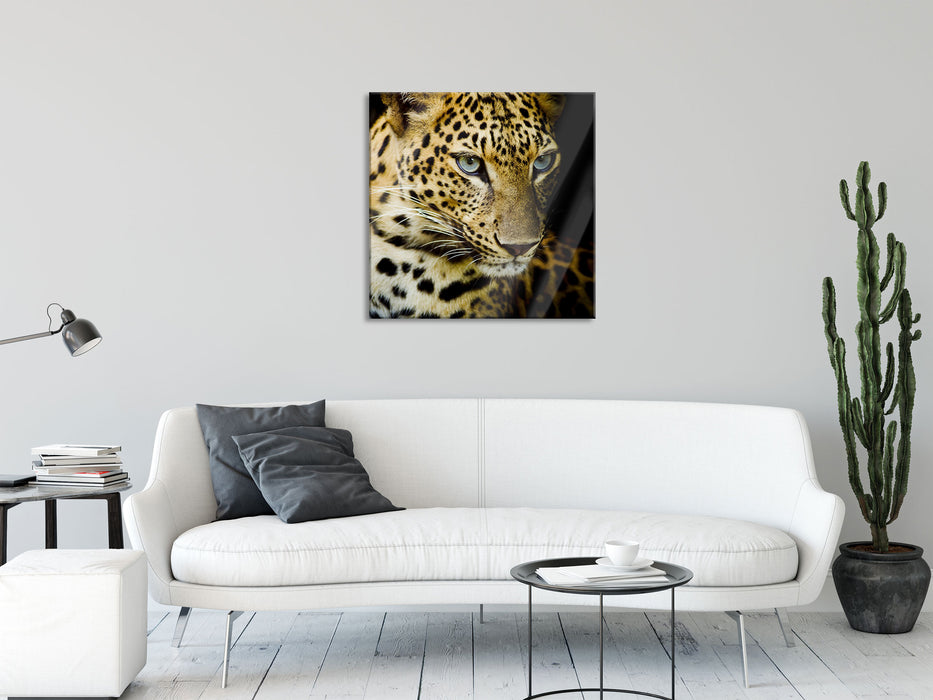 Leopard mit blauen Augen, Glasbild Quadratisch