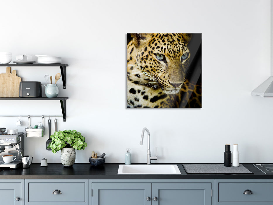 Leopard mit blauen Augen, Glasbild Quadratisch