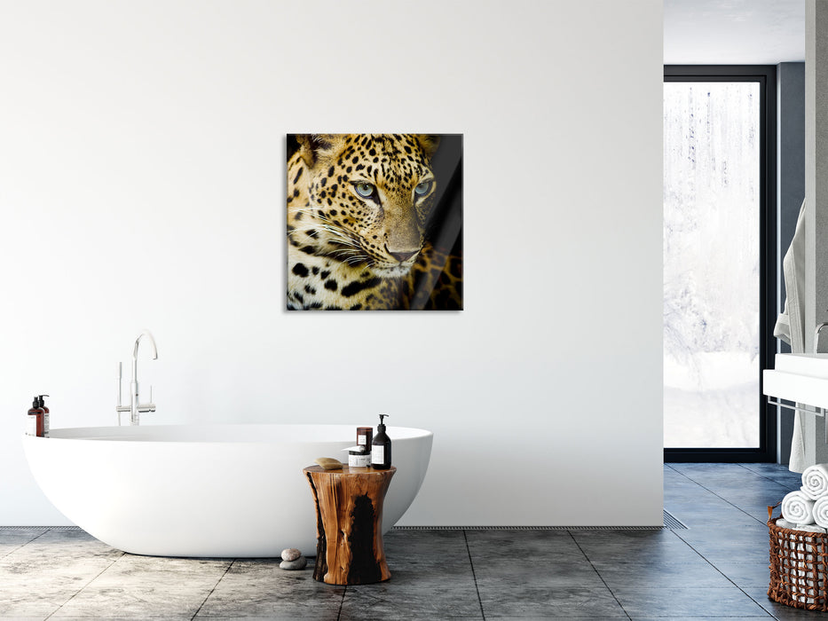 Leopard mit blauen Augen, Glasbild Quadratisch