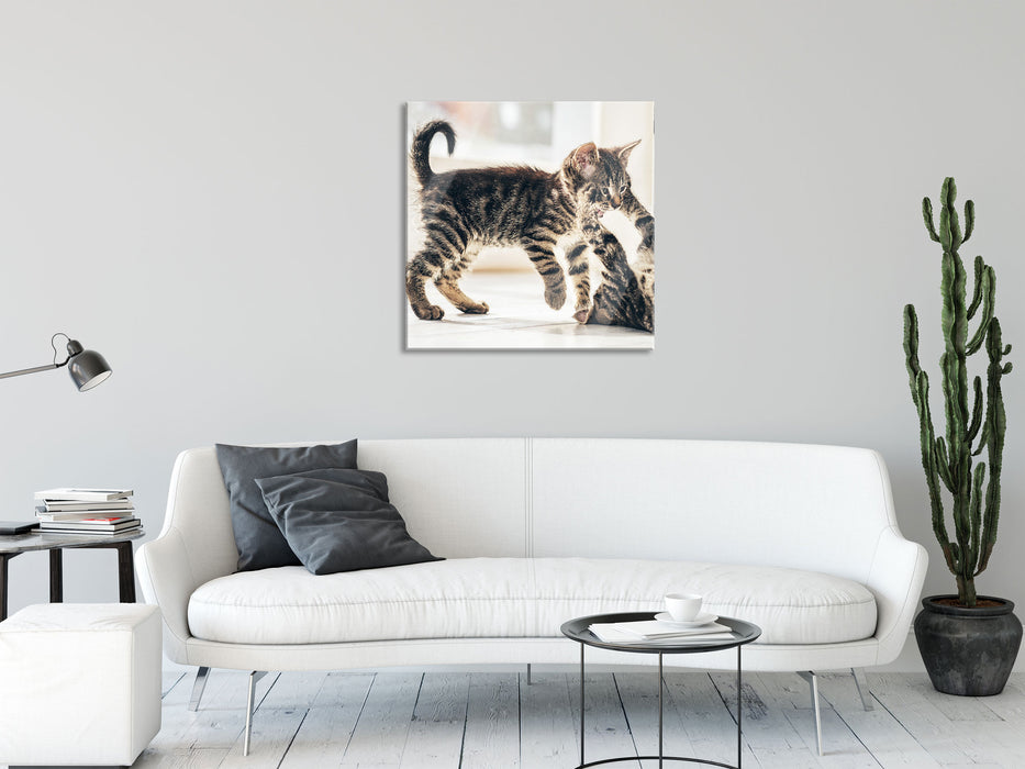 Fighting Cats, Glasbild Quadratisch