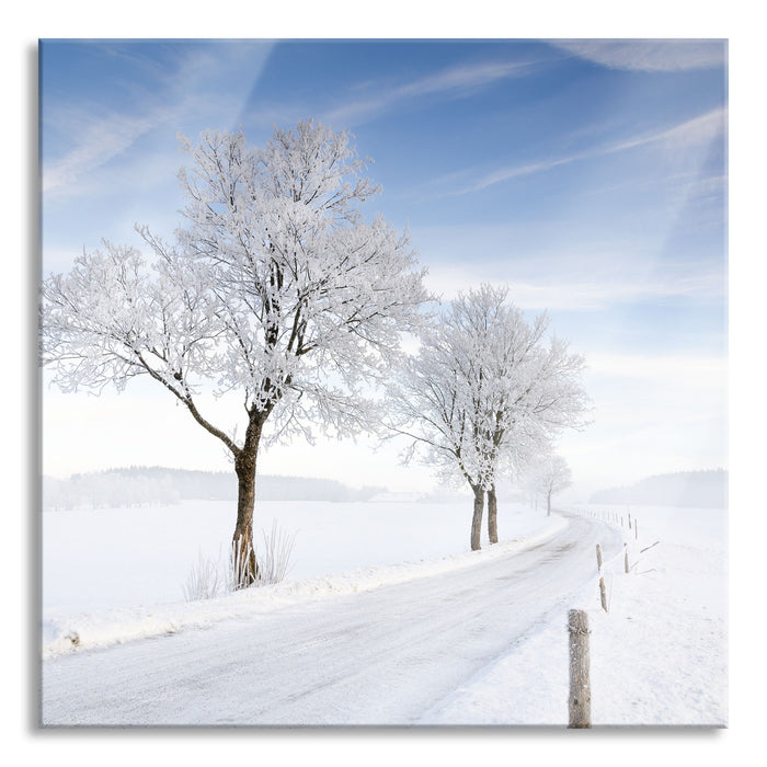 Baum im Schnee, Glasbild Quadratisch