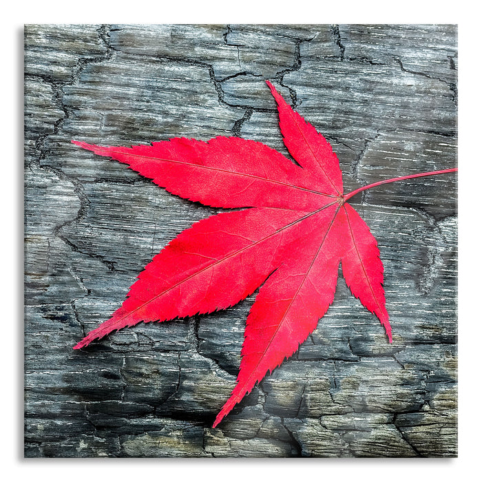 Pixxprint Blatt auf Holz Natur, Glasbild Quadratisch