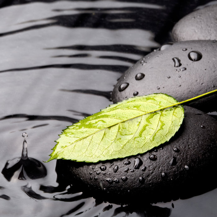 Stein mit Blatt, Glasbild Quadratisch