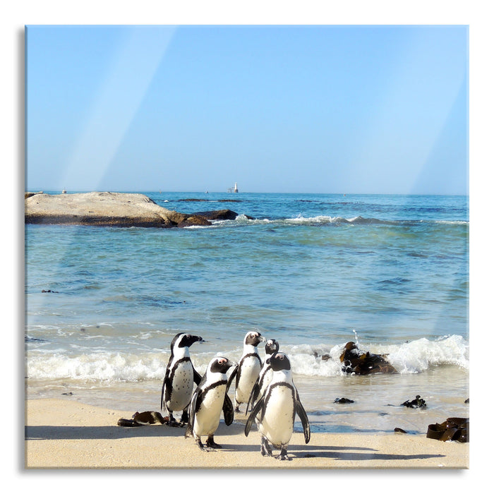 Pixxprint Pinguine am Strand, Glasbild Quadratisch