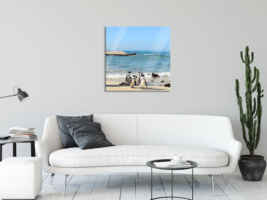 Pinguine am Strand, Glasbild Quadratisch