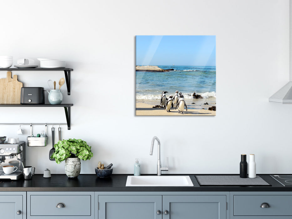 Pinguine am Strand, Glasbild Quadratisch