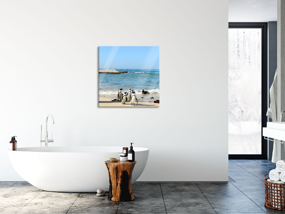 Pinguine am Strand, Glasbild Quadratisch