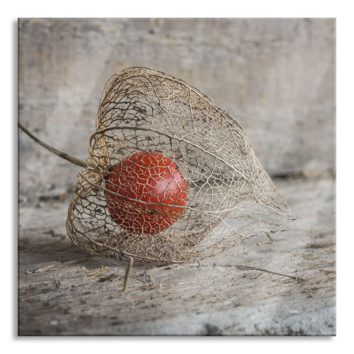 Pixxprint Physalis, Glasbild Quadratisch