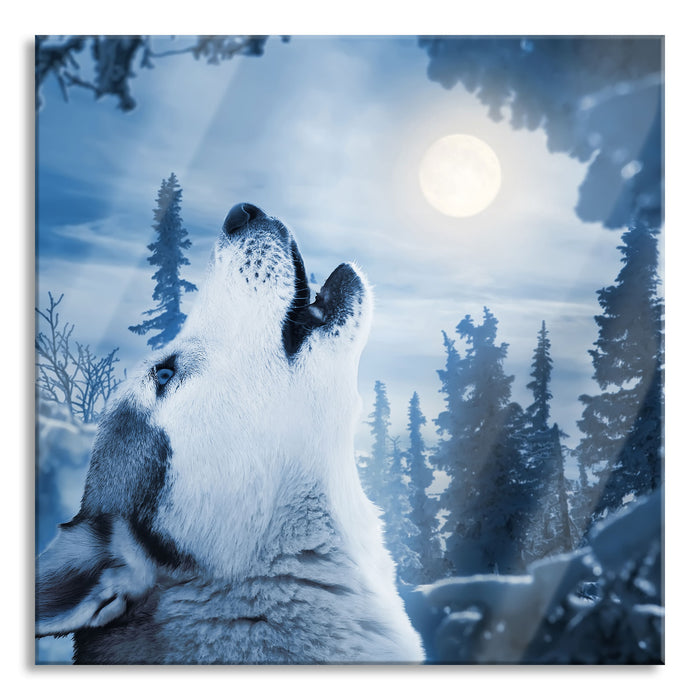 Pixxprint Wolf vor Mondlicht, Glasbild Quadratisch