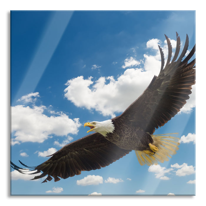 Adler fliegt über Berge, Glasbild Quadratisch