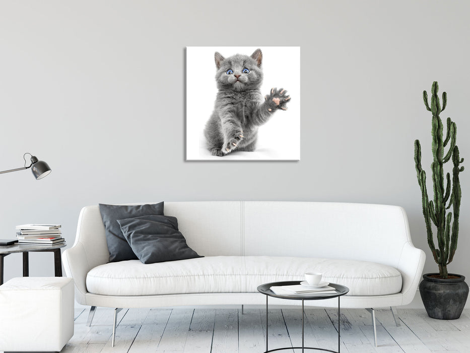 Babykatze die bettelt, Glasbild Quadratisch