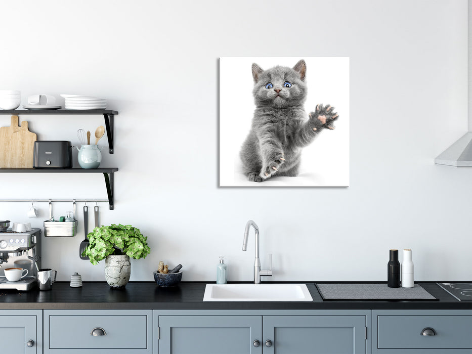 Babykatze die bettelt, Glasbild Quadratisch