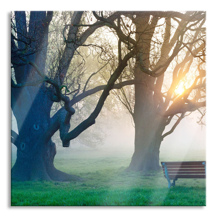 Pixxprint Baum und Bank im Nebel, Glasbild Quadratisch