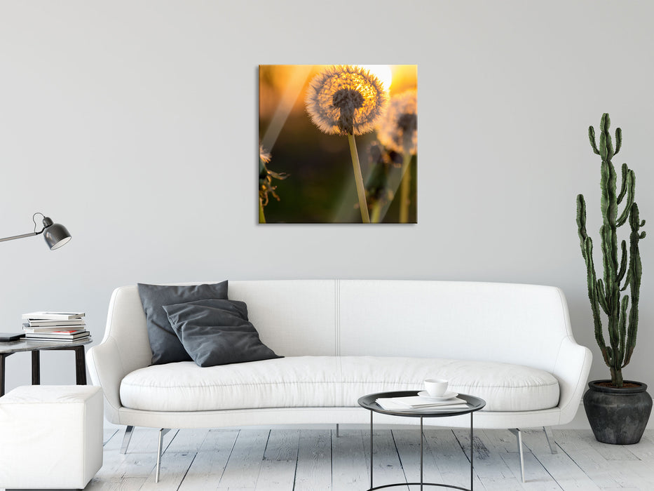 Pusteblume, Glasbild Quadratisch