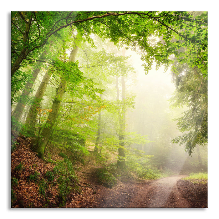 Sonnenstrahlen Waldweg, Glasbild Quadratisch