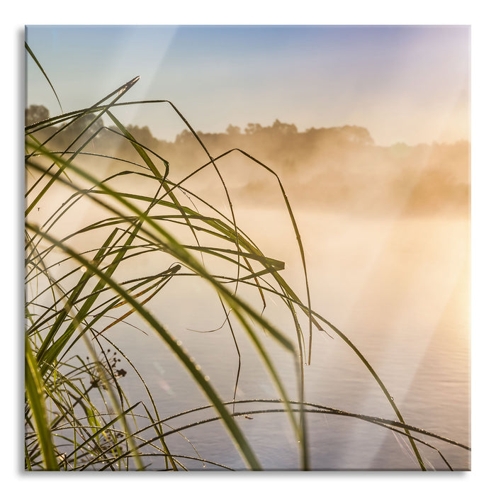 Pixxprint Schilf am See, Glasbild Quadratisch